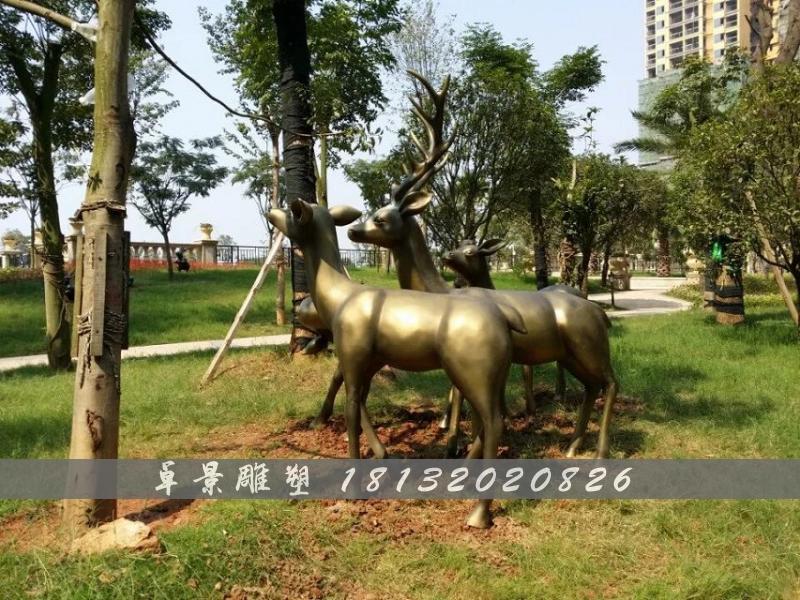 梅花鹿銅雕，公園動(dòng)物銅雕 (2)