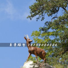 小鹿雕塑，玻璃鋼仿真動物