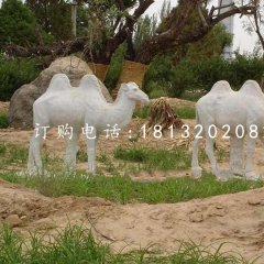 駱駝石雕 動(dòng)物石雕 公園景觀雕塑