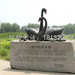 黑天鵝雕塑 玻璃鋼公園仿真動(dòng)物